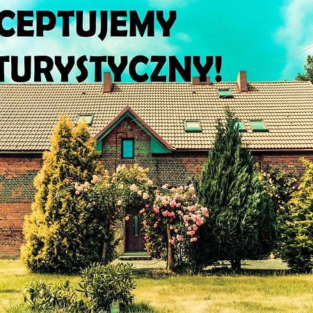 Chata Na Koncu Swiata Czaplin Maly ภายนอก รูปภาพ